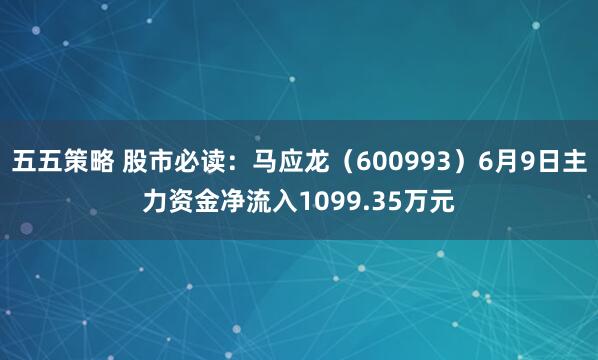 五五策略 股市必读：马应龙（600993）6月9日主力资金净流入1099.35万元