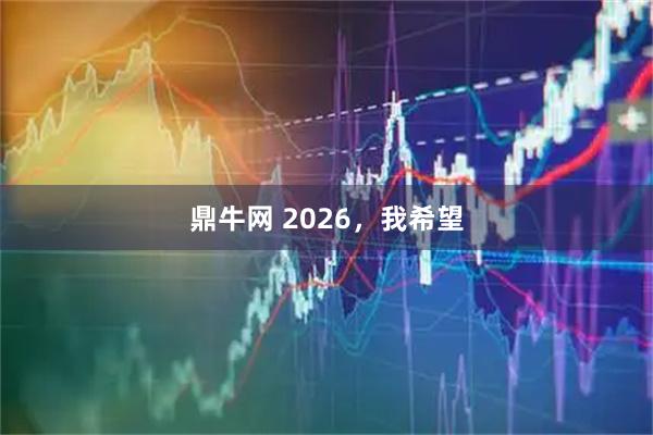 鼎牛网 2026，我希望