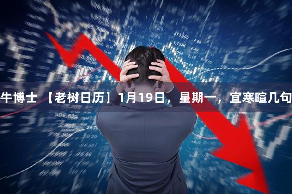 牛博士 【老树日历】1月19日，星期一，宜寒暄几句