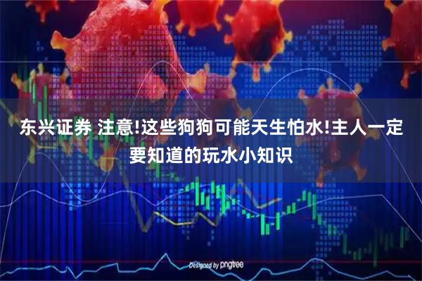 东兴证券 注意!这些狗狗可能天生怕水!主人一定要知道的玩水小知识